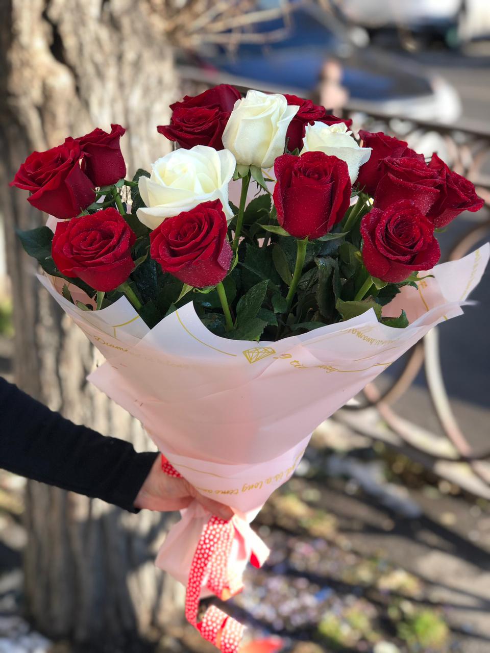 Жизненные силы природы 