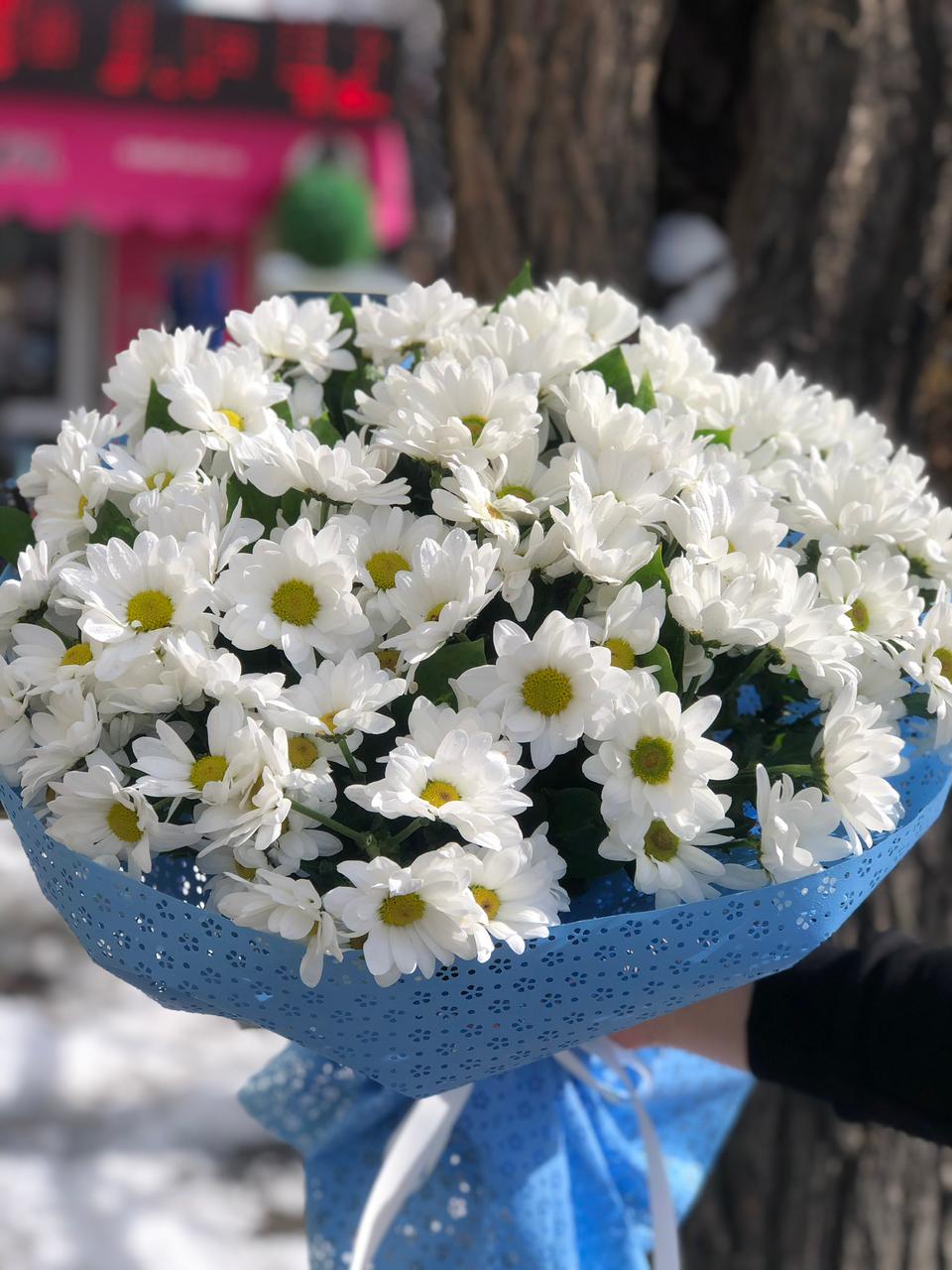 Дикая Страсть