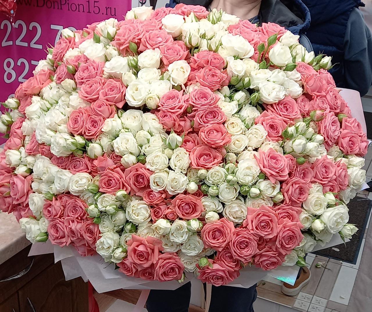 Комплемент Королеве