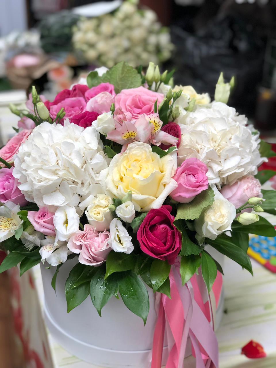 Скромная Улыбка 