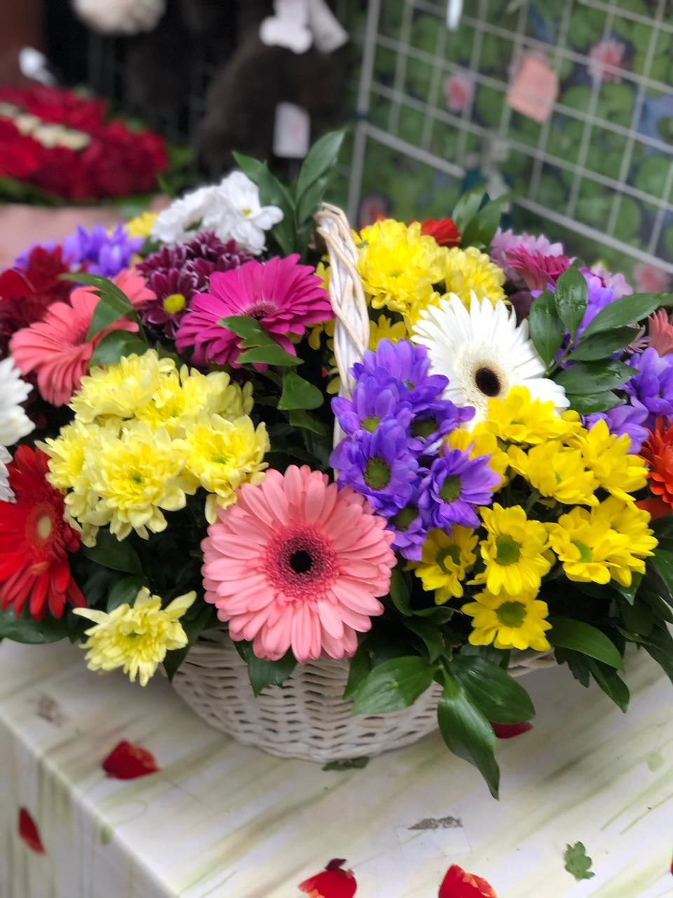 Тёплая  Встреча 