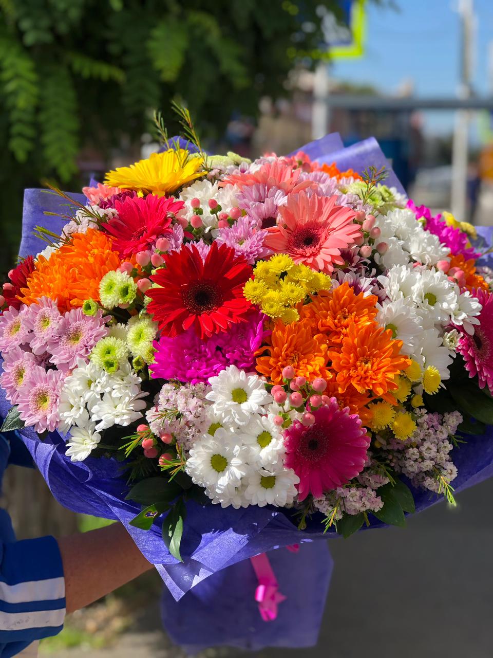 Писания Грация