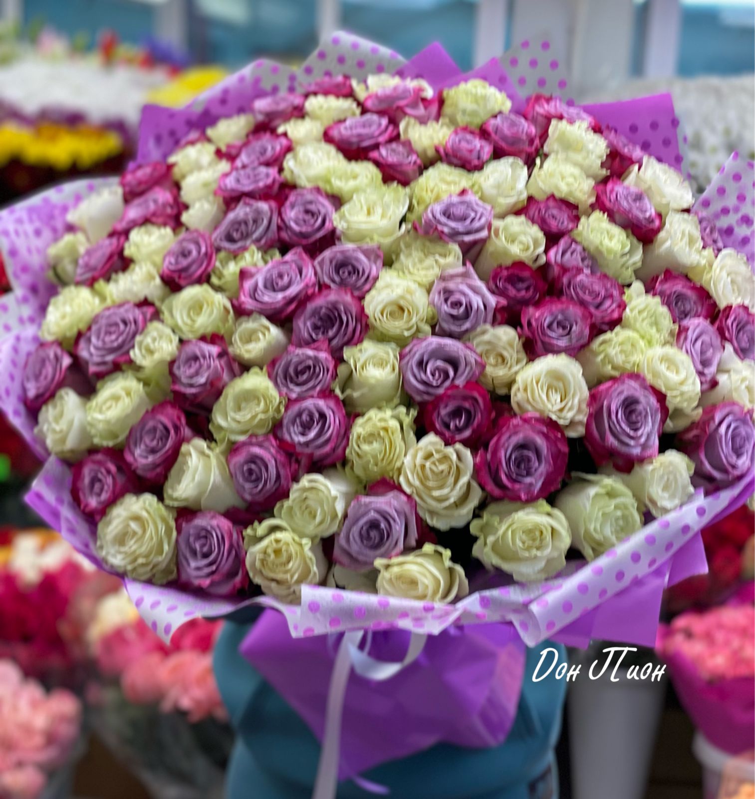 Сереневые грезы