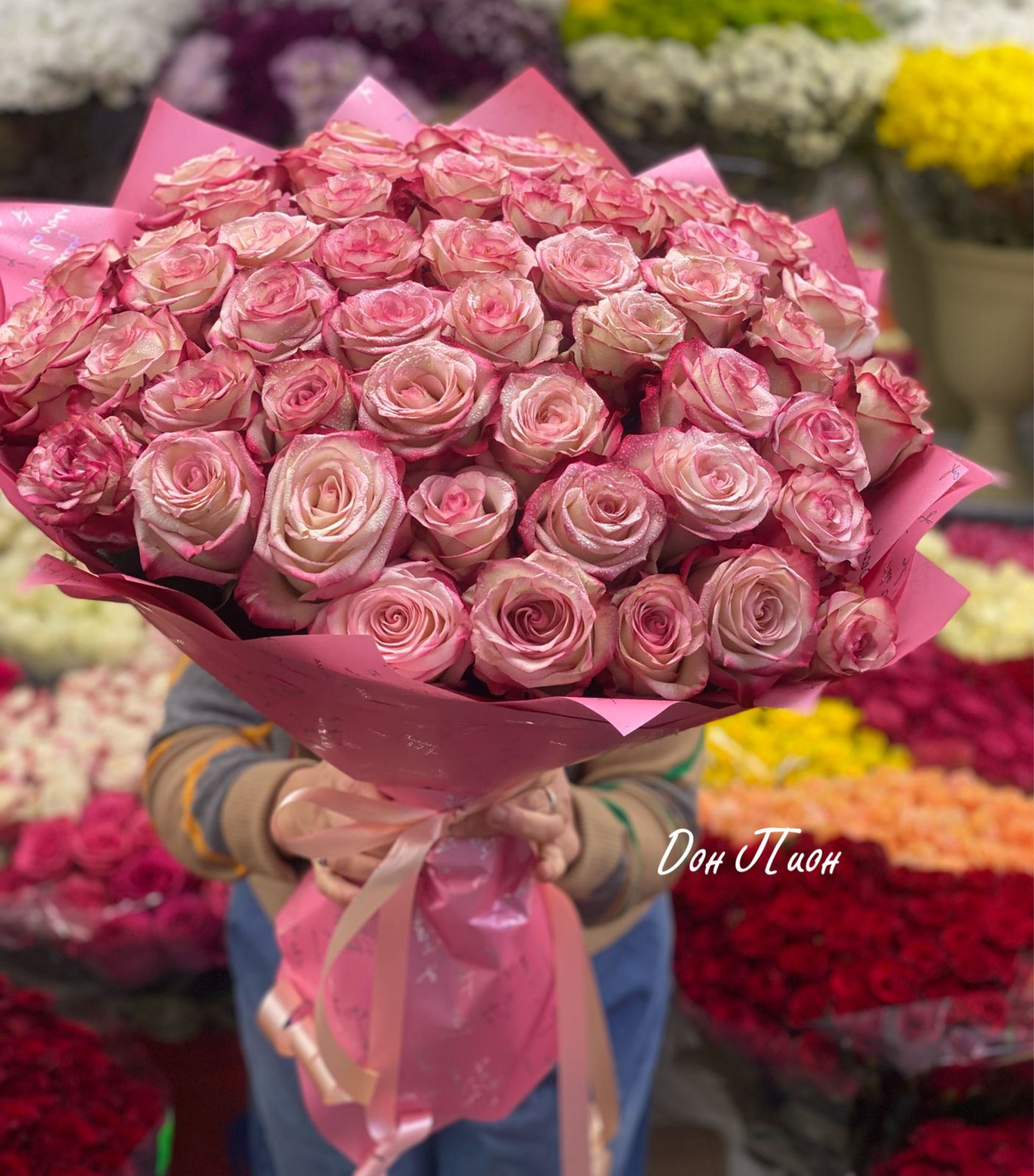 Прекрасная незнакомка 