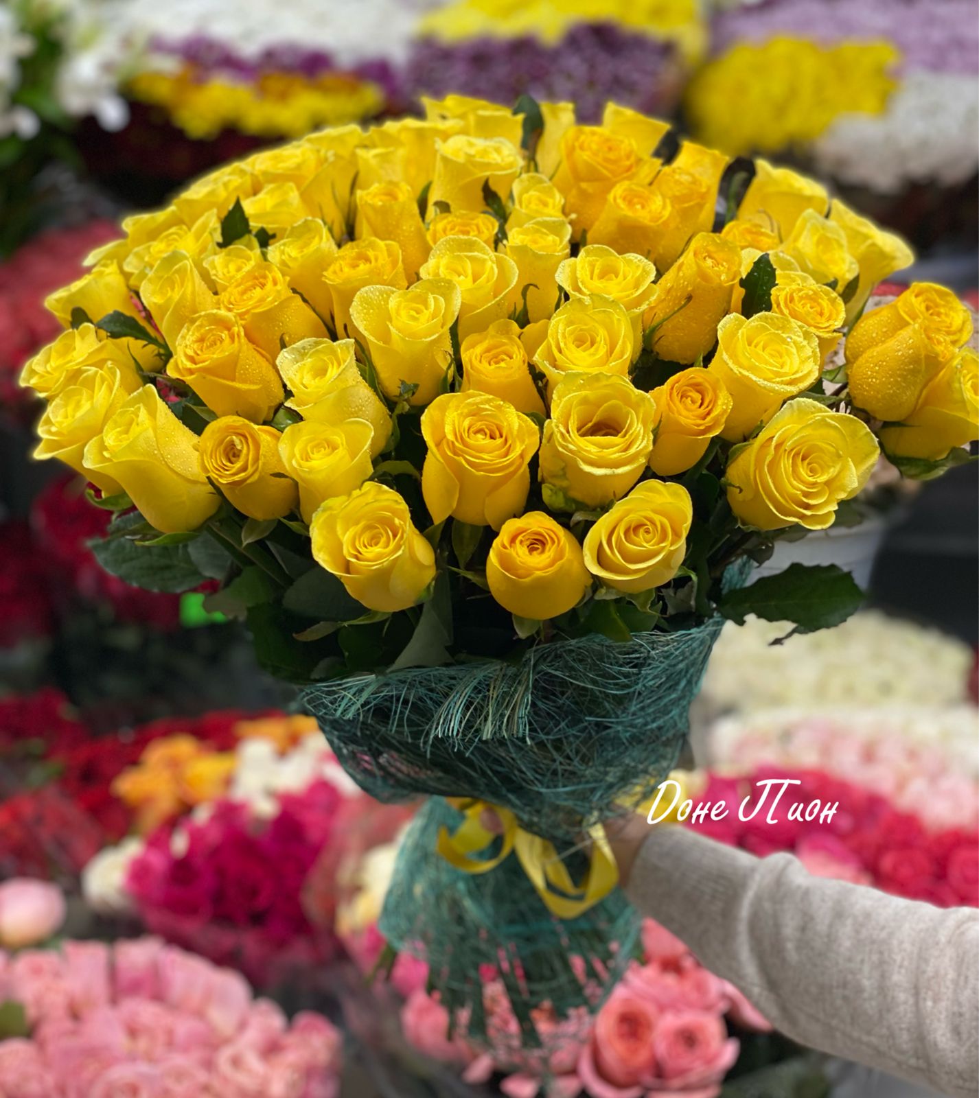 Цветы из космоса 