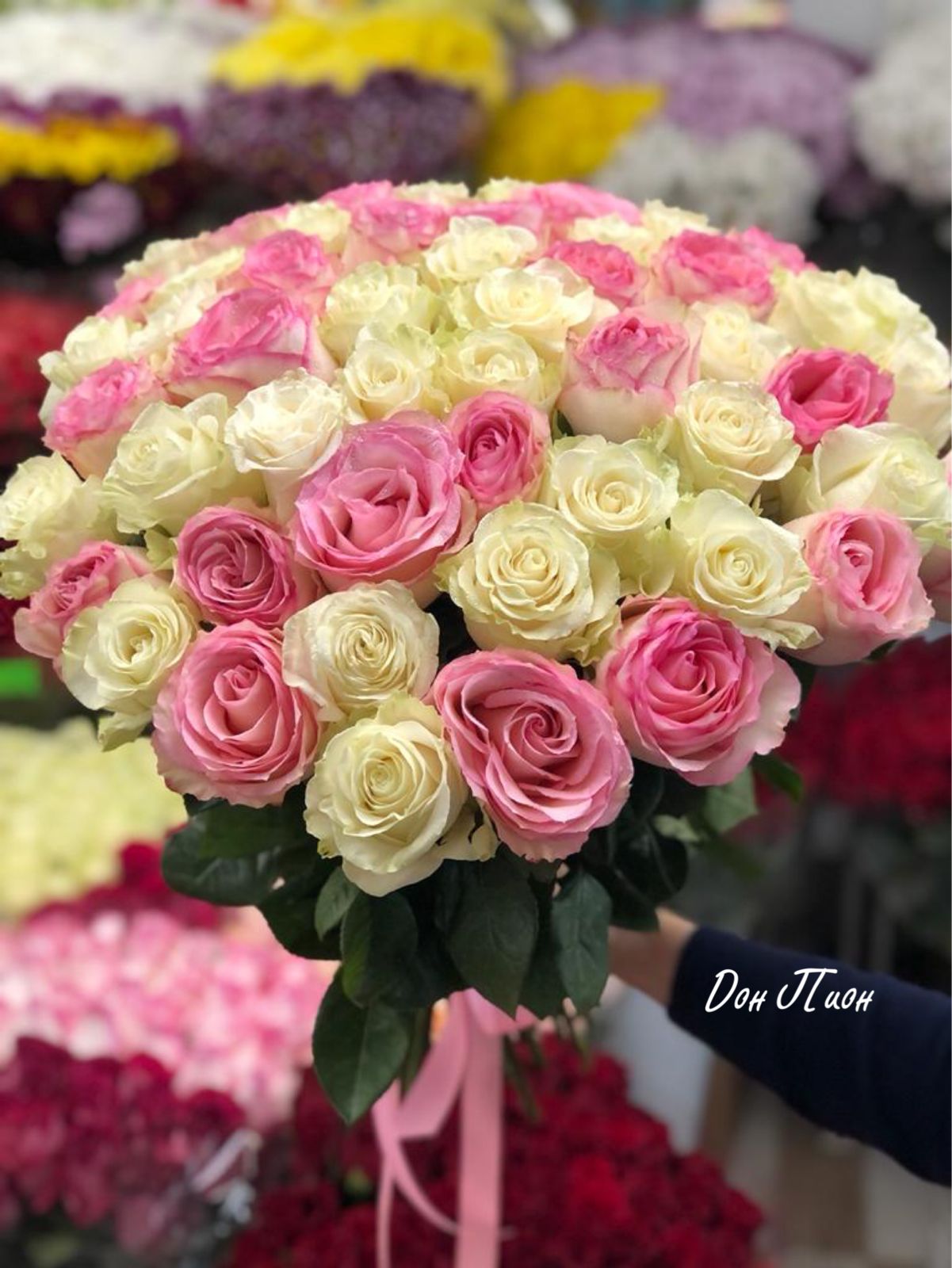 Хлопковый рай