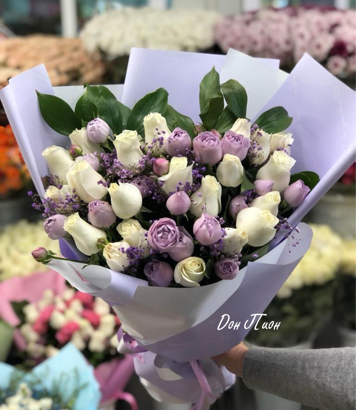 Сиреневые грёзы 