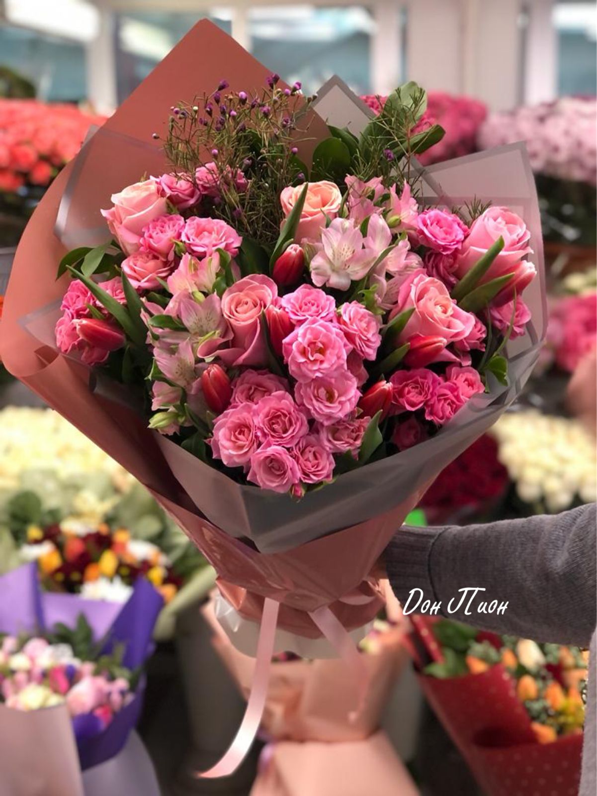 Целая вселенная