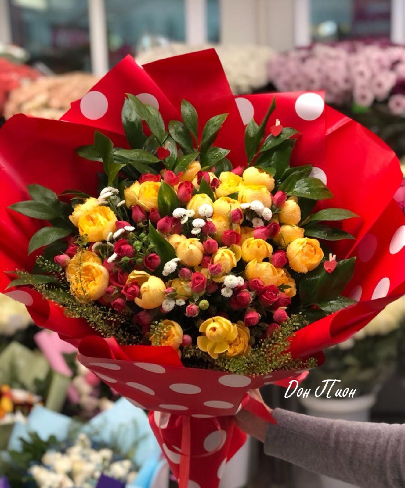 Улыбка Радуги