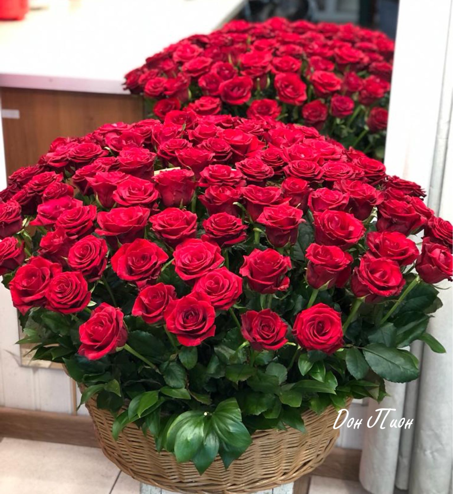 Загадай желание 