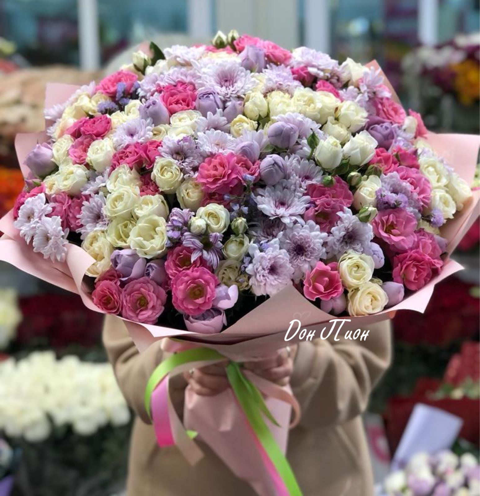 Северное Сияние