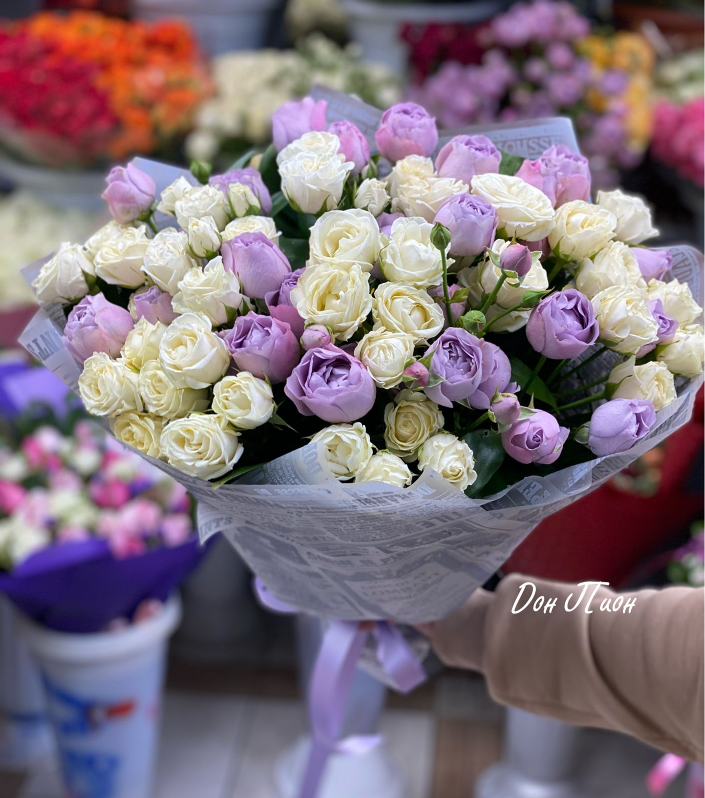 Вечерний  сюрприз 