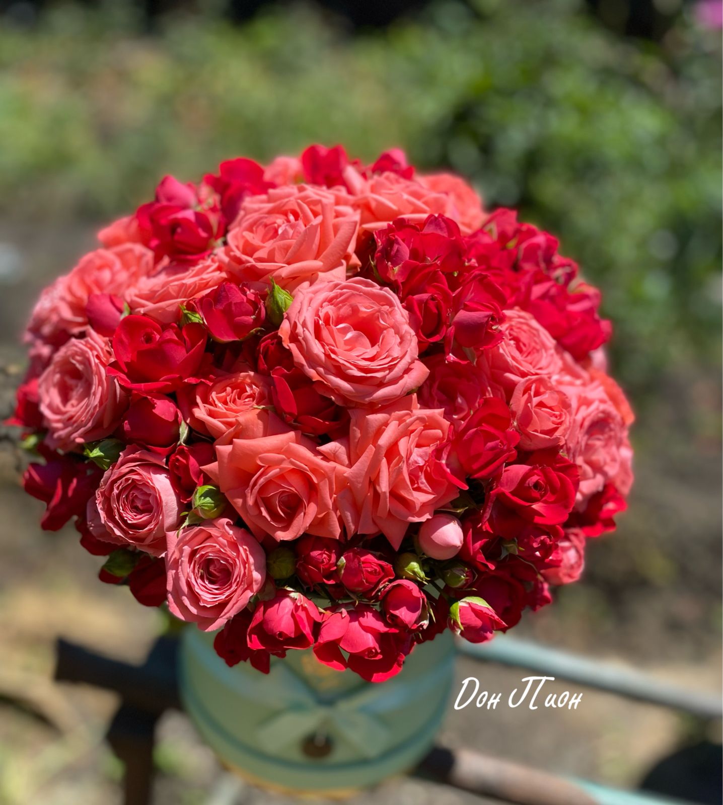 Прикосновение нежности