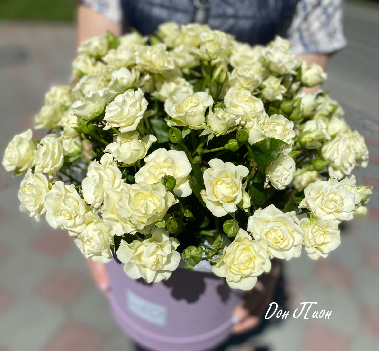 Пудровые Облака