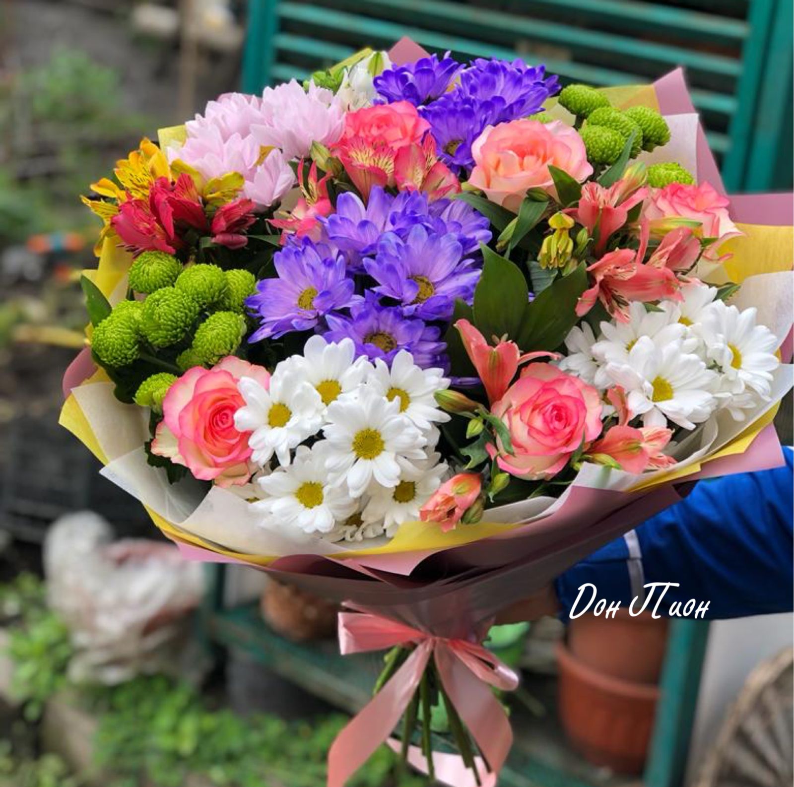 Чистая Лазурь