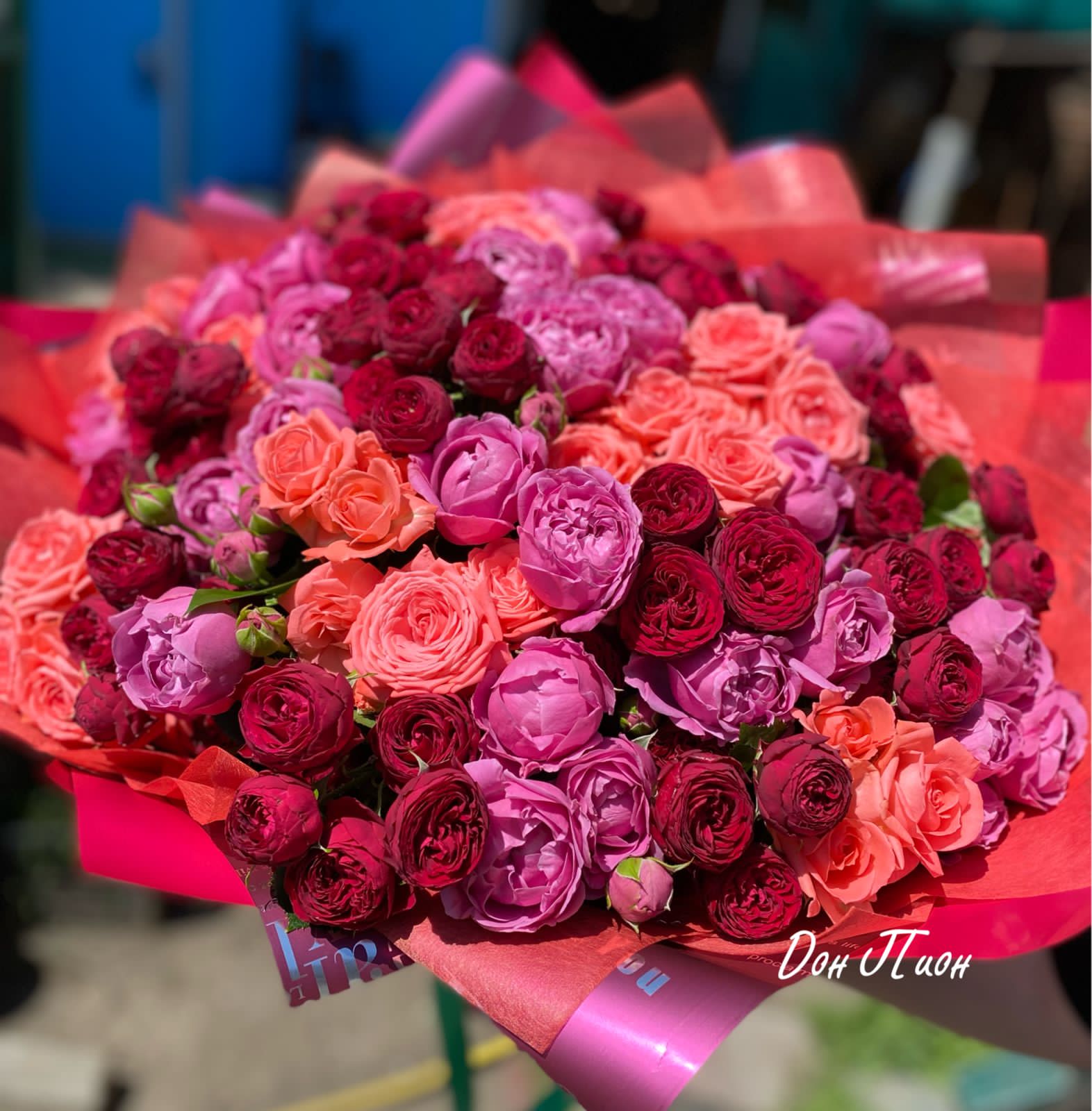 Расцвет Красоты