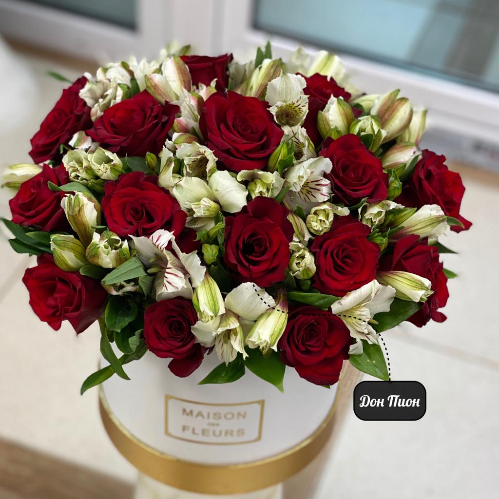 Искренняя Улыбка