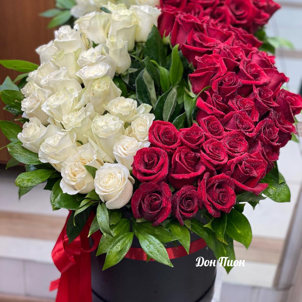 Румяная Заря