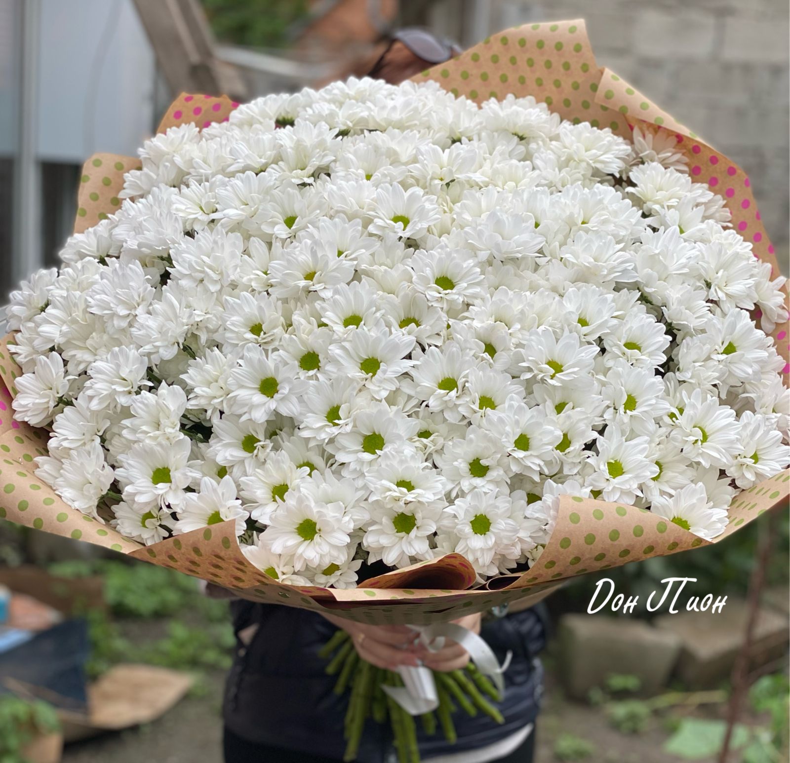 Хлопковый Рай