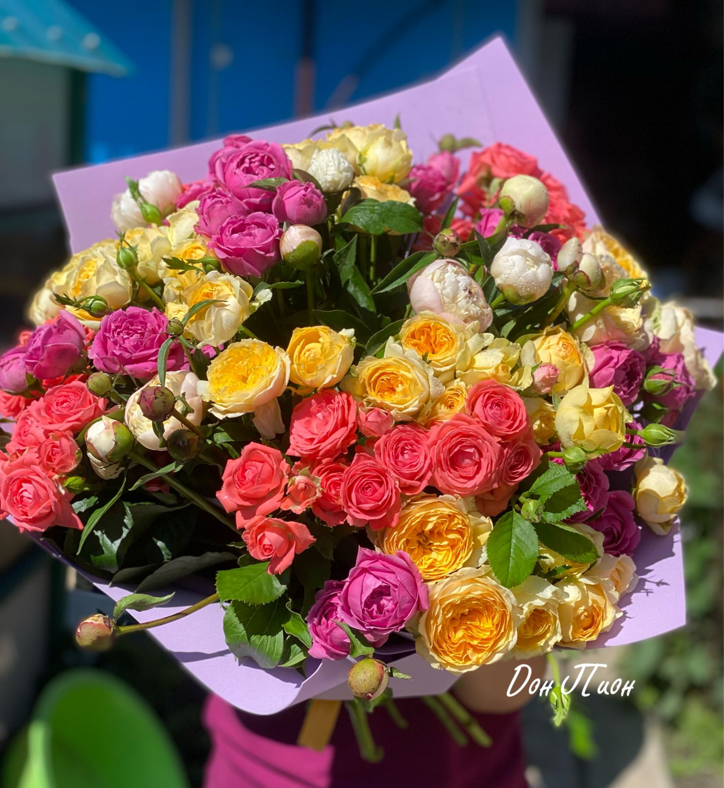 Облачный атлас