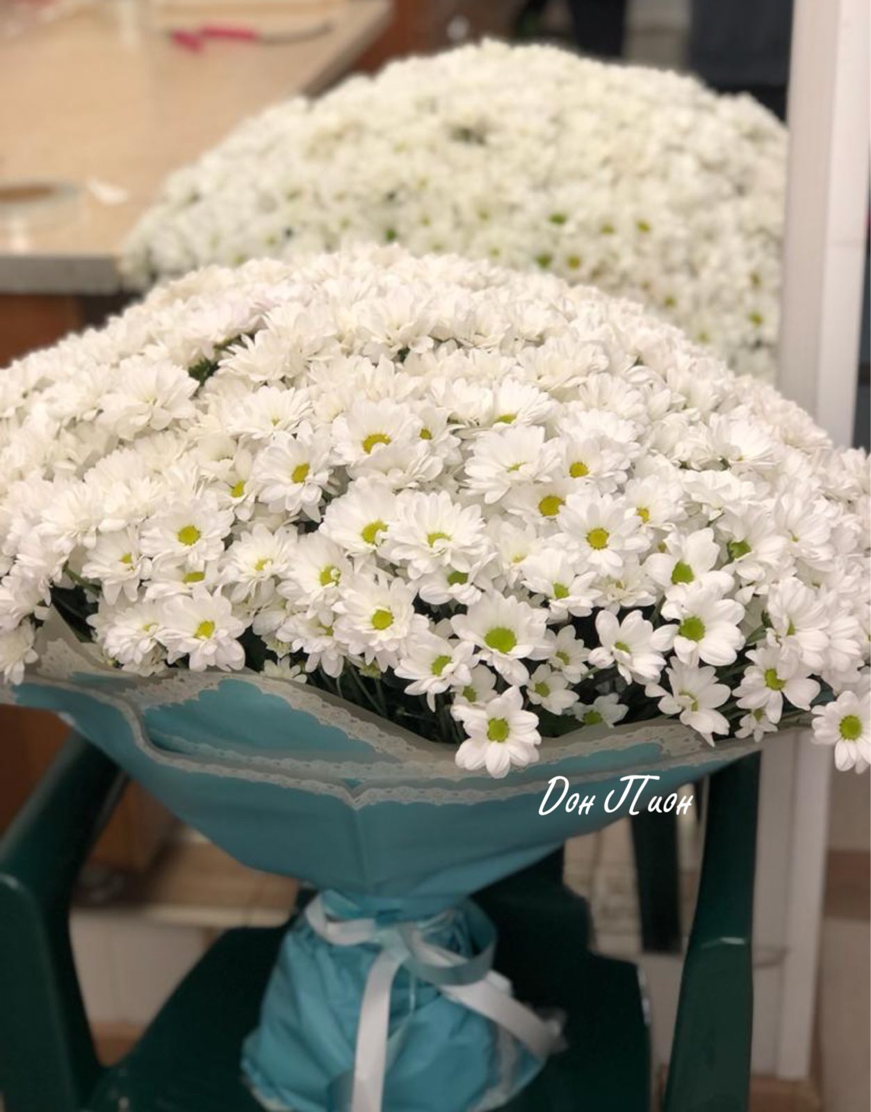 Ромашковые поля