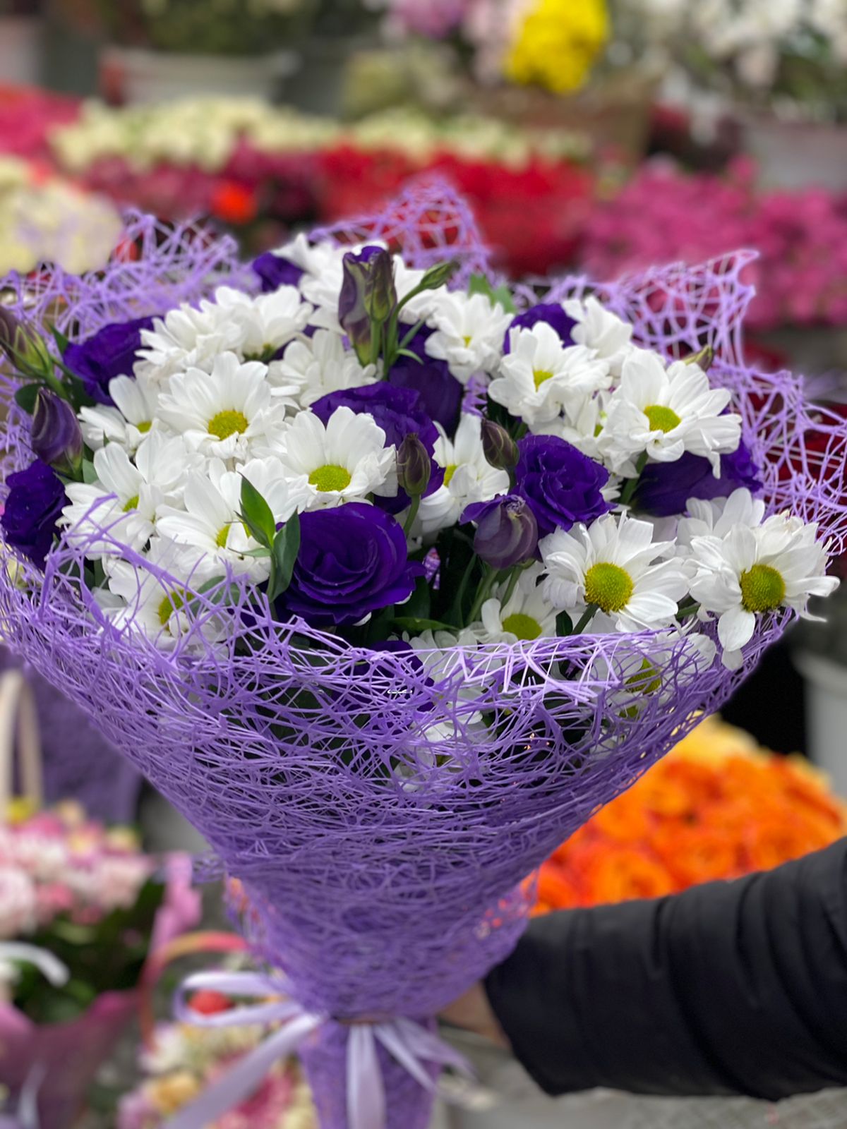 Весенний  ветер