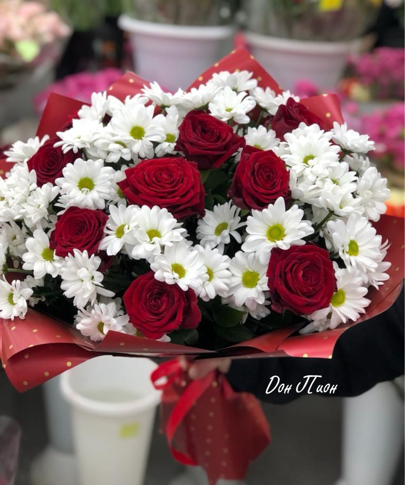 Созвездие девы