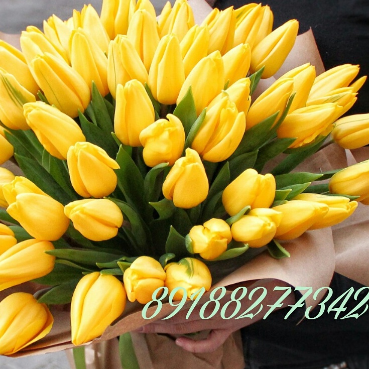 Очарованный