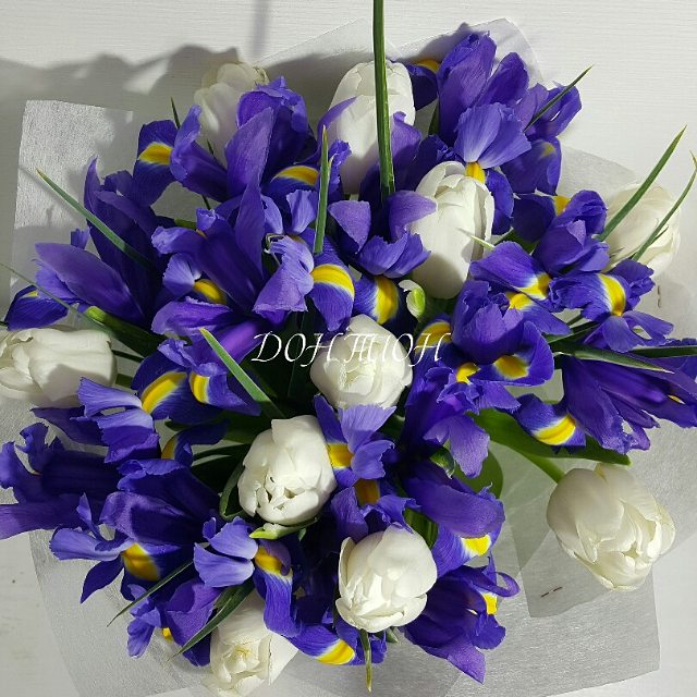 Белый тюльпан с ирисами