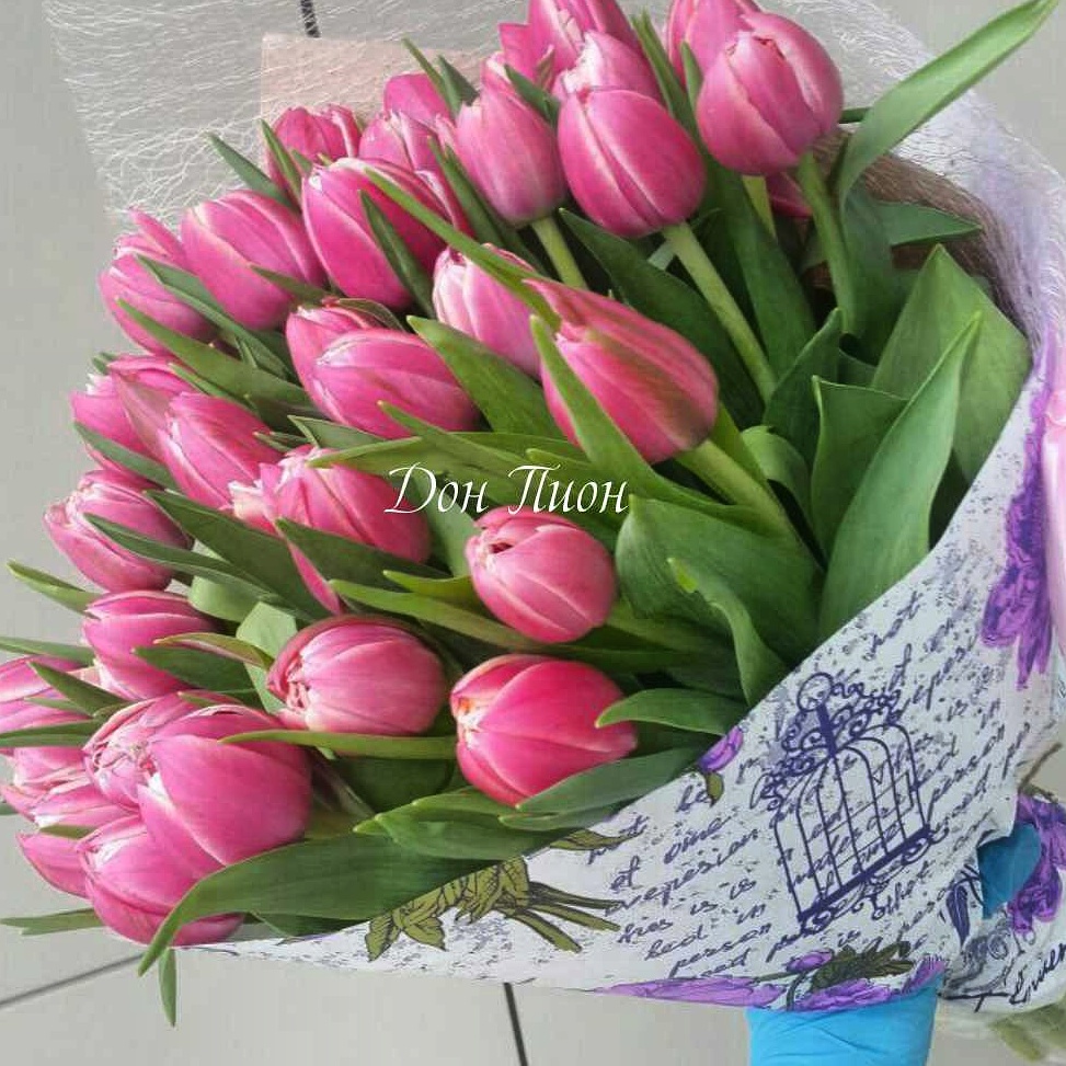 Букет малиновых тюльпанов