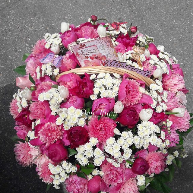 Пиономания