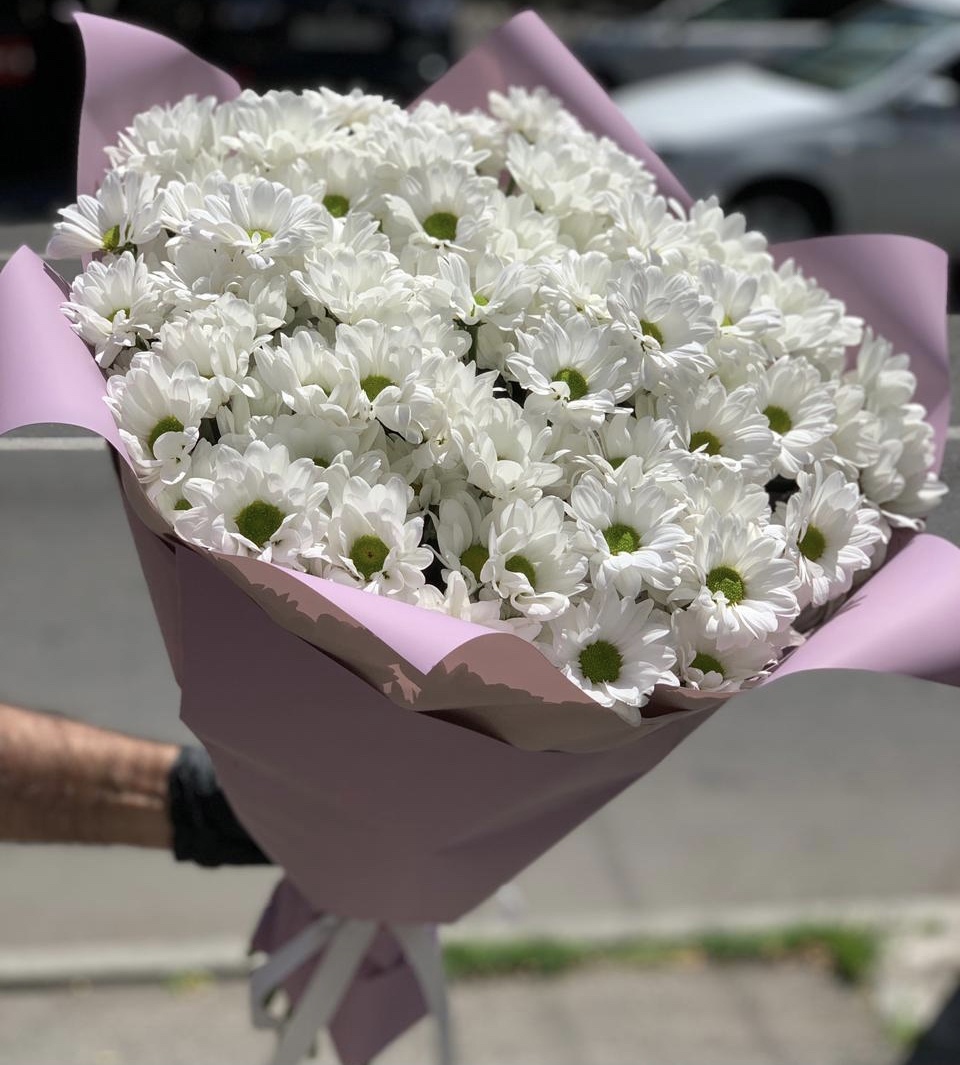 Ромашковое поле