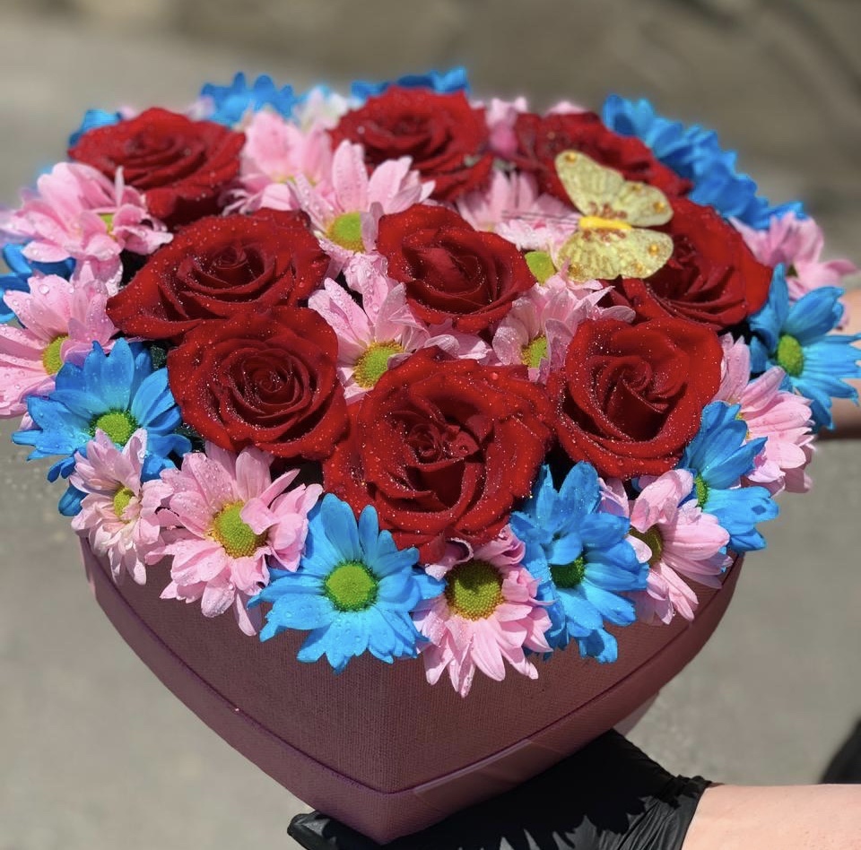 Первый полет